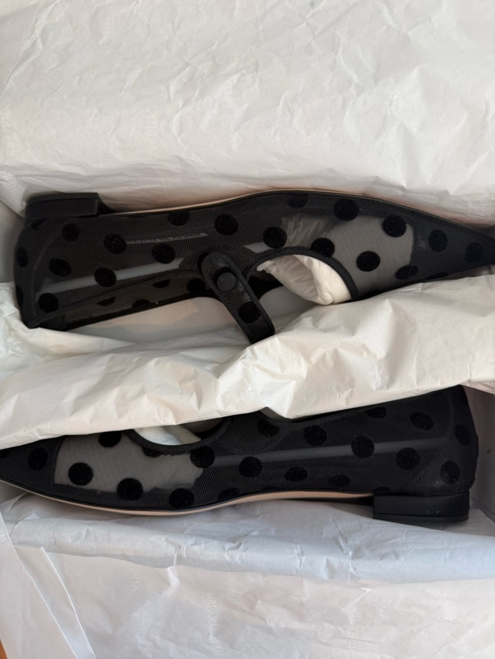 NIB Manolo Blahnik Campari Polka Dot Ballet Flats - Black - Picture 3 of 9